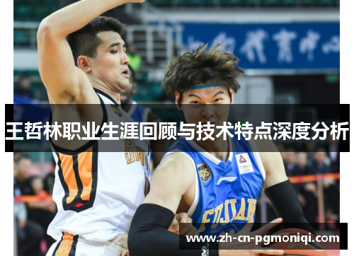 王哲林职业生涯回顾与技术特点深度分析