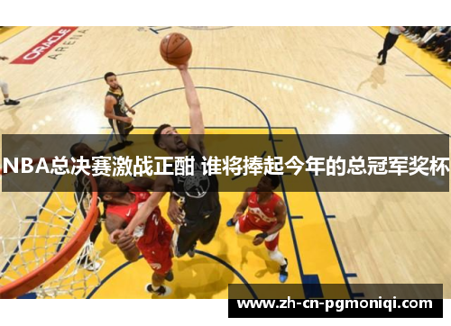 NBA总决赛激战正酣 谁将捧起今年的总冠军奖杯