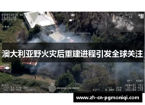 澳大利亚野火灾后重建进程引发全球关注